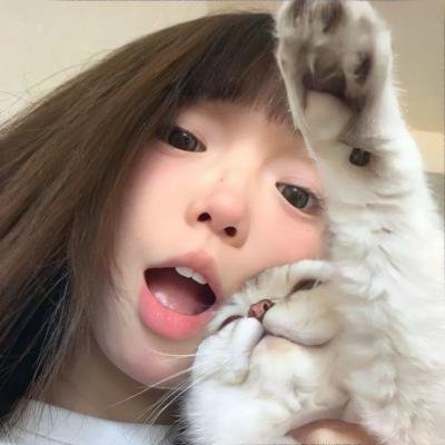 小老鼠历险记